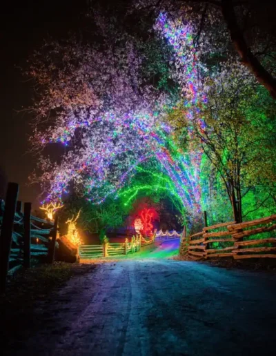 634e0ceeaf6c1f127b0c57d7_c09_11zon-400x516