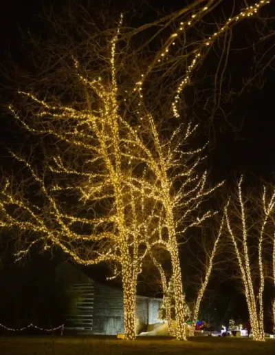 634e0cf822b4d577f75d5e4a_c53-1_11zon-400x516